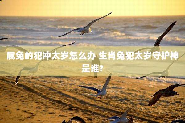 属兔的犯冲太岁怎么办 生肖兔犯太岁守护神是谁?