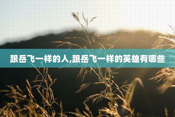 跟岳飞一样的人,跟岳飞一样的英雄有哪些