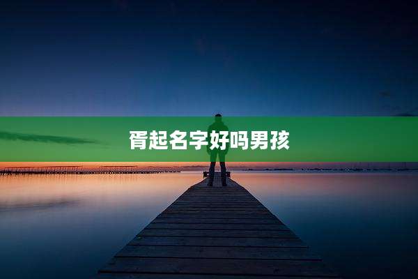 胥起名字好吗男孩