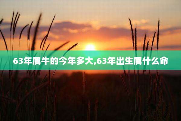 63年属牛的今年多大,63年出生属什么命