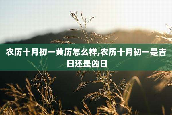 农历十月初一黄历怎么样,农历十月初一是吉日还是凶日