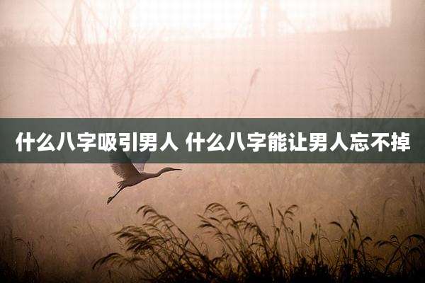 什么八字吸引男人 什么八字能让男人忘不掉