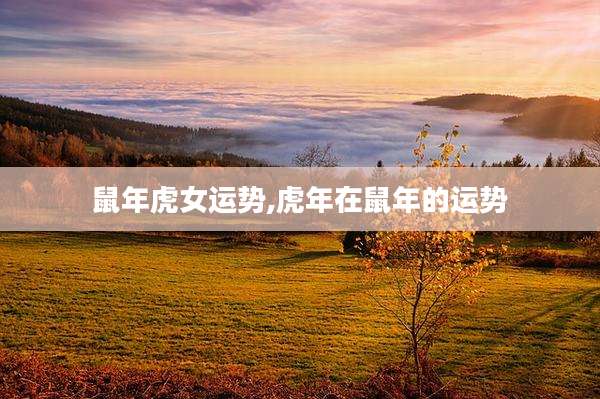 鼠年虎女运势,虎年在鼠年的运势