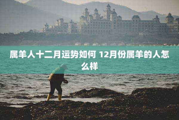 属羊人十二月运势如何 12月份属羊的人怎么样