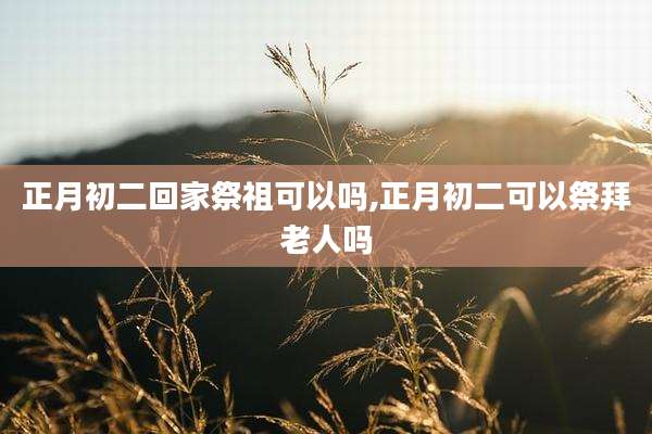 正月初二回家祭祖可以吗,正月初二可以祭拜老人吗