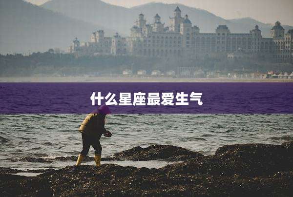 什么星座最爱生气