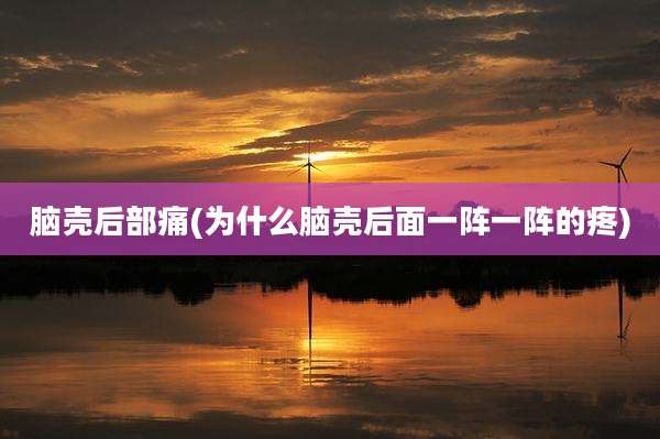 脑壳后部痛(为什么脑壳后面一阵一阵的疼)