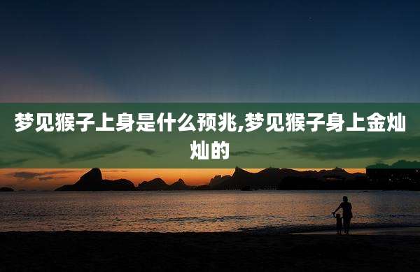 梦见猴子上身是什么预兆,梦见猴子身上金灿灿的