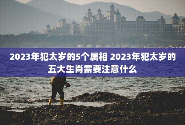 2023年犯太岁的5个属相 2023年犯太岁的五大生肖需要注意什么
