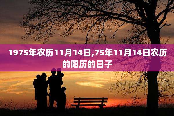 1975年农历11月14日,75年11月14日农历的阳历的日子