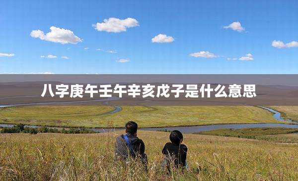 八字庚午壬午辛亥戊子是什么意思
