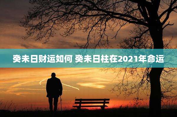 癸未日财运如何 癸未日柱在2021年命运