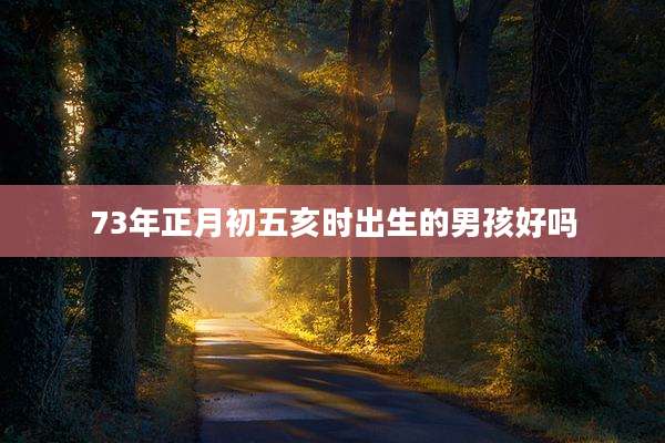 73年正月初五亥时出生的男孩好吗