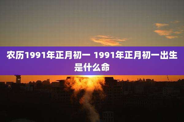 农历1991年正月初一 1991年正月初一出生是什么命