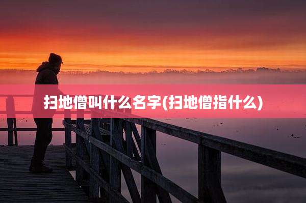 扫地僧叫什么名字(扫地僧指什么)