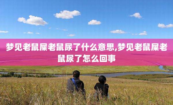 梦见老鼠屎老鼠尿了什么意思,梦见老鼠屎老鼠尿了怎么回事
