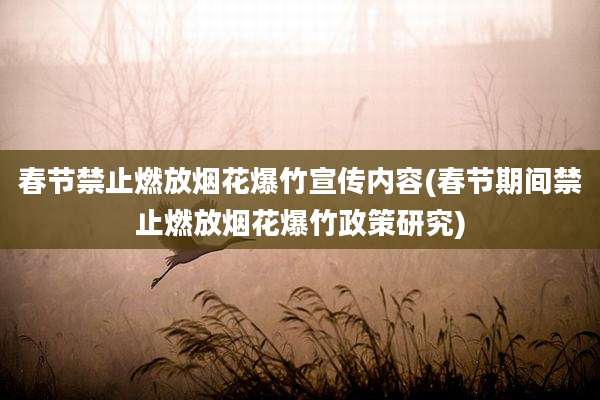 春节禁止燃放烟花爆竹宣传内容(春节期间禁止燃放烟花爆竹政策研究)