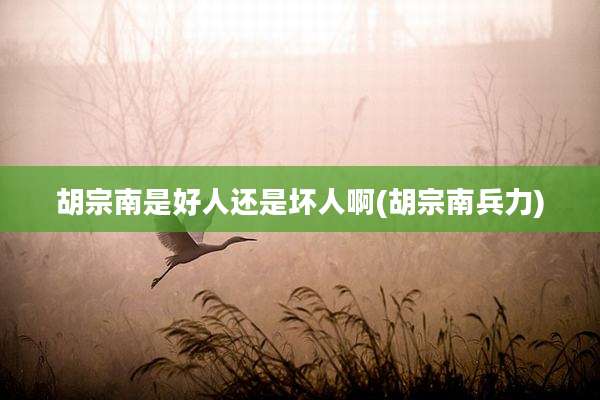 胡宗南是好人还是坏人啊(胡宗南兵力)