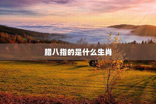 腊八指的是什么生肖