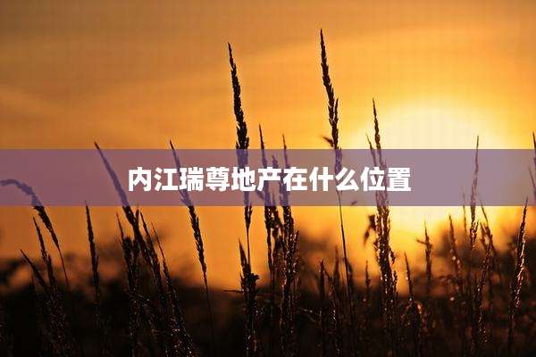内江瑞尊地产在什么位置