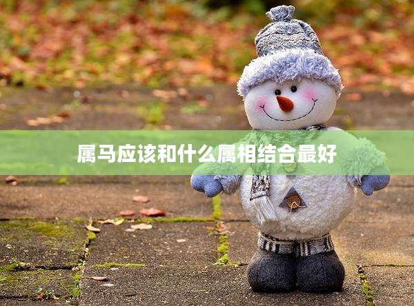 属马应该和什么属相结合最好
