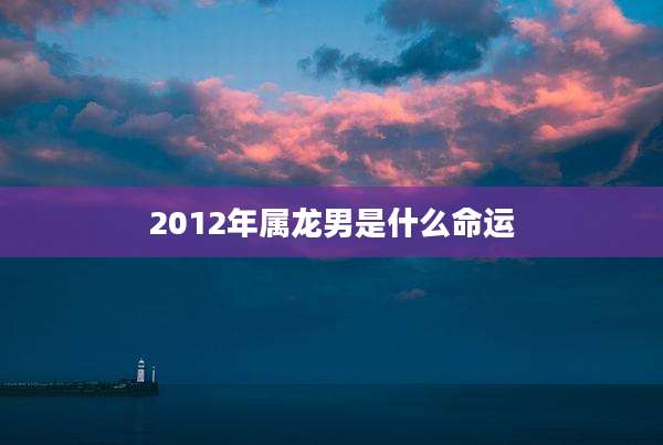 2012年属龙男是什么命运