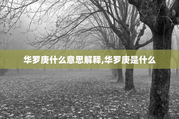 华罗庚什么意思解释,华罗庚是什么