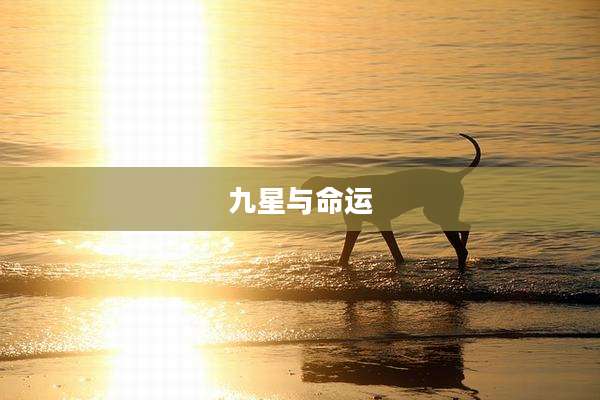 九星与命运