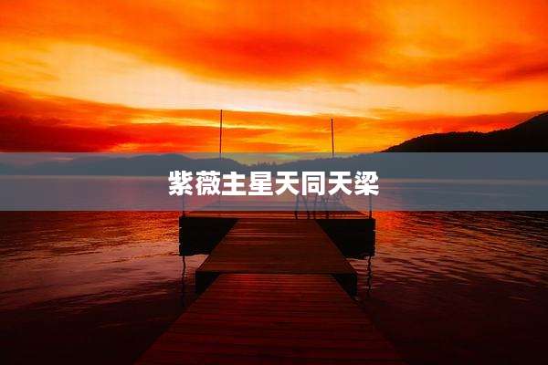 紫薇主星天同天梁