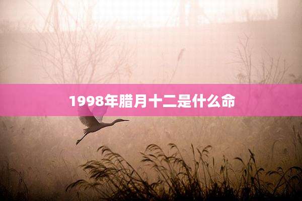 1998年腊月十二是什么命