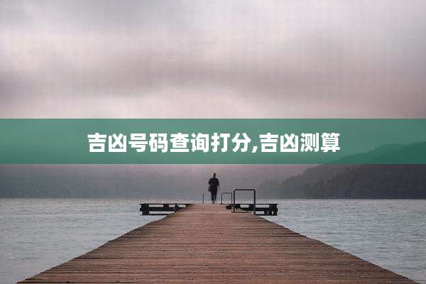 吉凶号码查询打分,吉凶测算