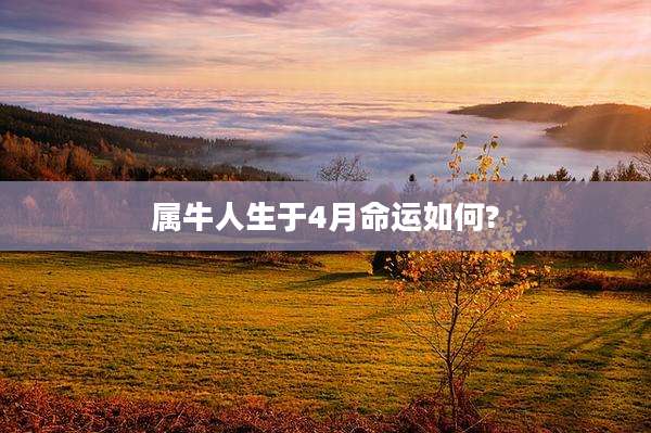 属牛人生于4月命运如何?