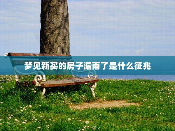 梦见新买的房子漏雨了是什么征兆