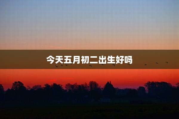 今天五月初二出生好吗