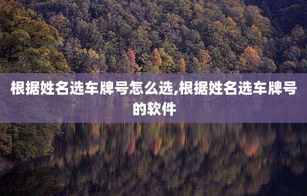 根据姓名选车牌号怎么选,根据姓名选车牌号的软件