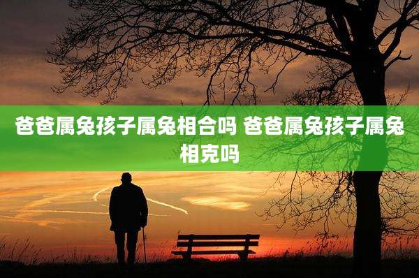爸爸属兔孩子属兔相合吗 爸爸属兔孩子属兔相克吗