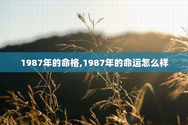 1987年的命格,1987年的命运怎么样