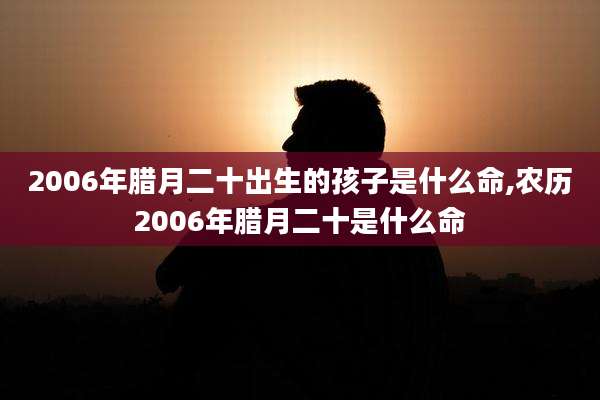 2006年腊月二十出生的孩子是什么命,农历2006年腊月二十是什么命