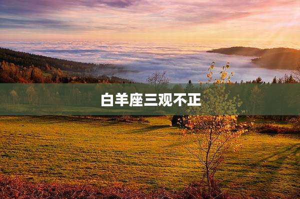 白羊座三观不正