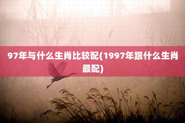 97年与什么生肖比较配(1997年跟什么生肖最配)