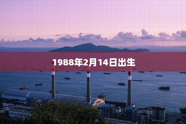 1988年2月14日出生
