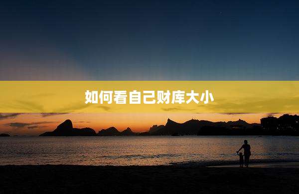 如何看自己财库大小