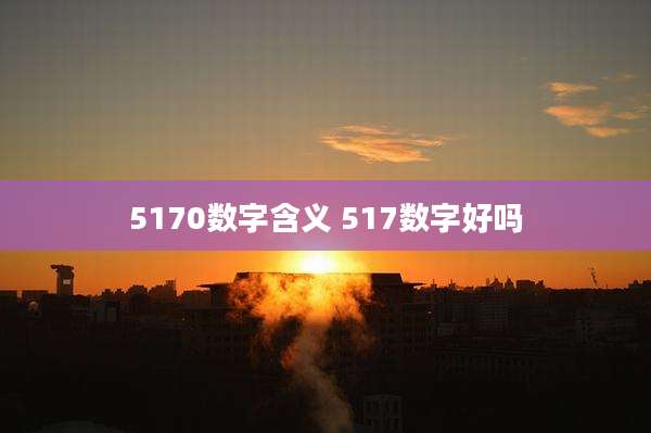 5170数字含义 517数字好吗