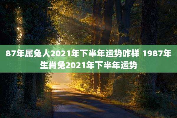 87年属兔人2021年下半年运势咋样 1987年生肖兔2021年下半年运势