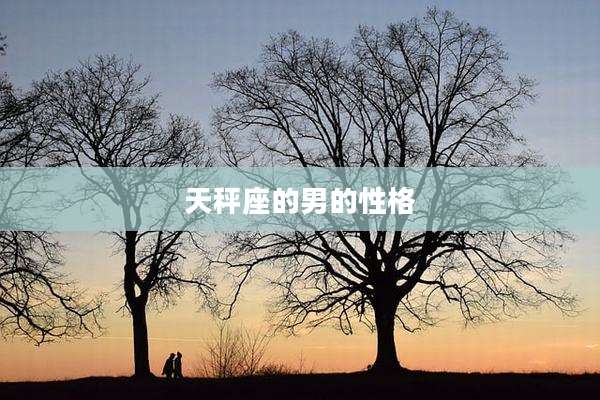 天秤座的男的性格