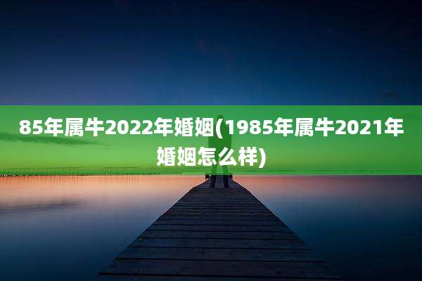 85年属牛2022年婚姻(1985年属牛2021年婚姻怎么样)