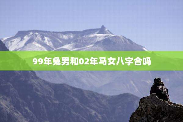 99年兔男和02年马女八字合吗