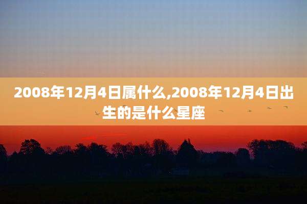 2008年12月4日属什么,2008年12月4日出生的是什么星座