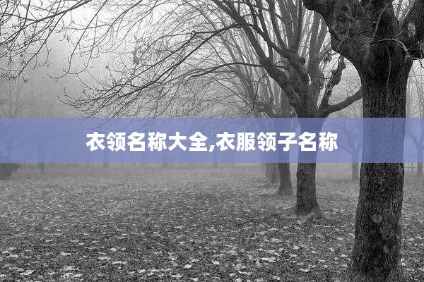 衣领名称大全,衣服领子名称