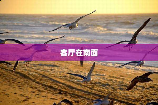客厅在南面